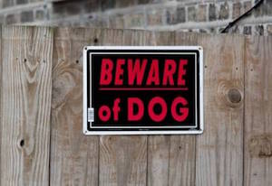 Beware of Dog Ad